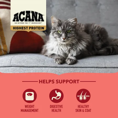 ACANA Highest Protein Indoor Cat Recipe (4 LB)