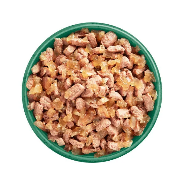 Adult Salmon in Jelly Grain Free Wet Cat Food Pouches