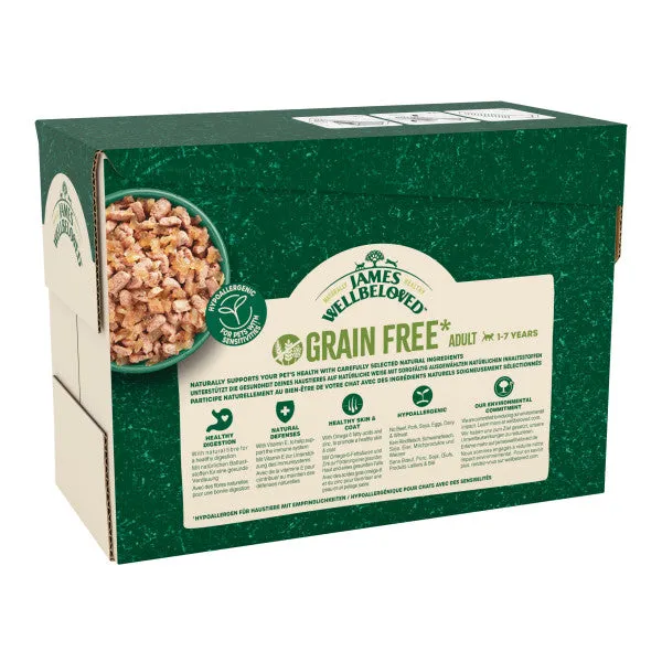 Adult Salmon in Jelly Grain Free Wet Cat Food Pouches