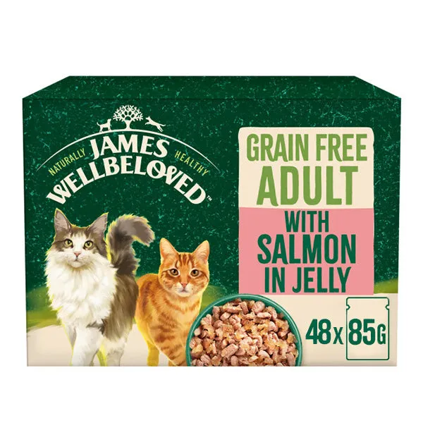 Adult Salmon in Jelly Grain Free Wet Cat Food Pouches