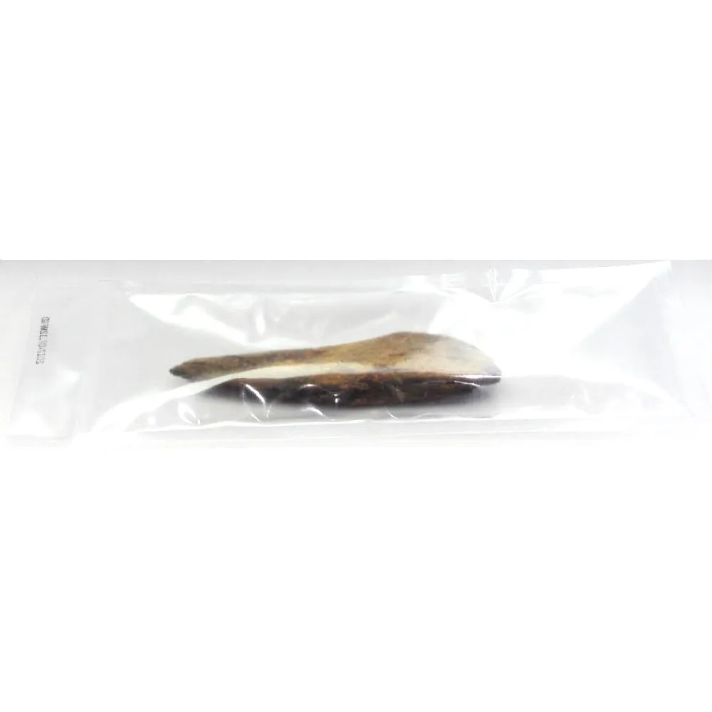 AsakoSasaki Dried Whole Fish Bonito Dog Chew Treat