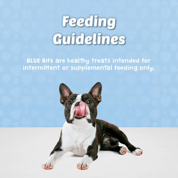 BLUE Bits Soft-Moist Training Treats; Salmon Recipe, 4 oz