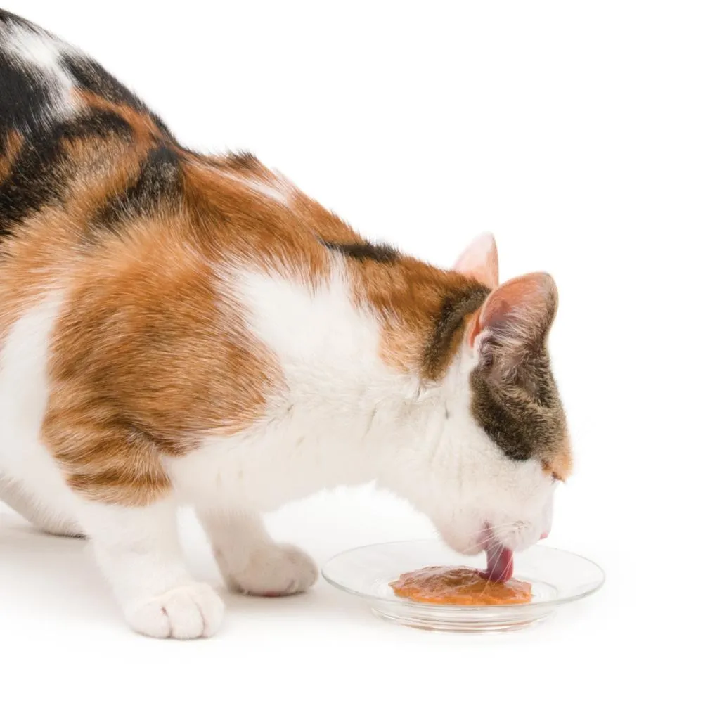 Catit Creamy All Natural Cat Treats Salmon & Prawn