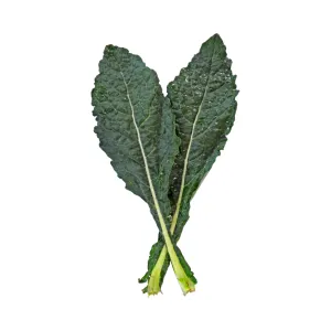 Certified Organic Black Kale (Each)