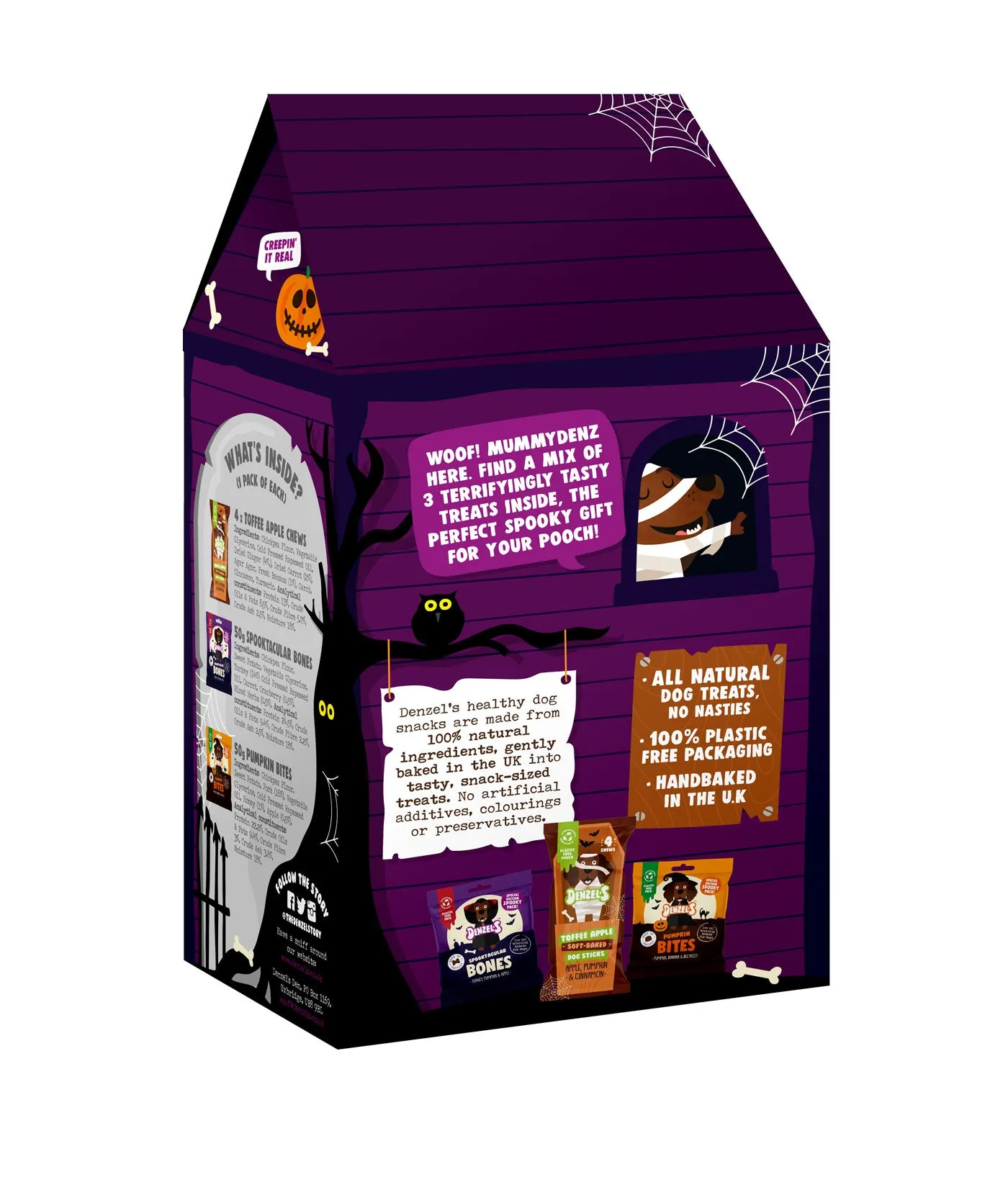 Denzel's Halloween Haunted House Gift Box for Dogs (175G)