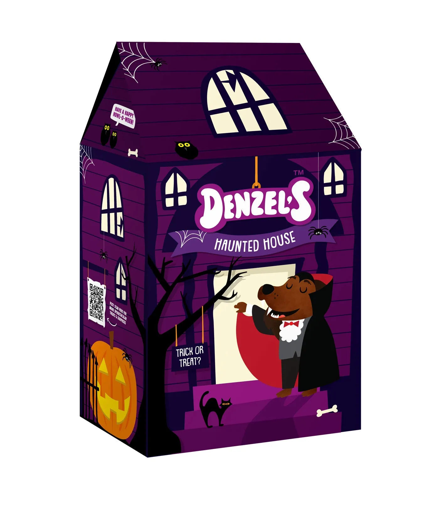 Denzel's Halloween Haunted House Gift Box for Dogs (175G)