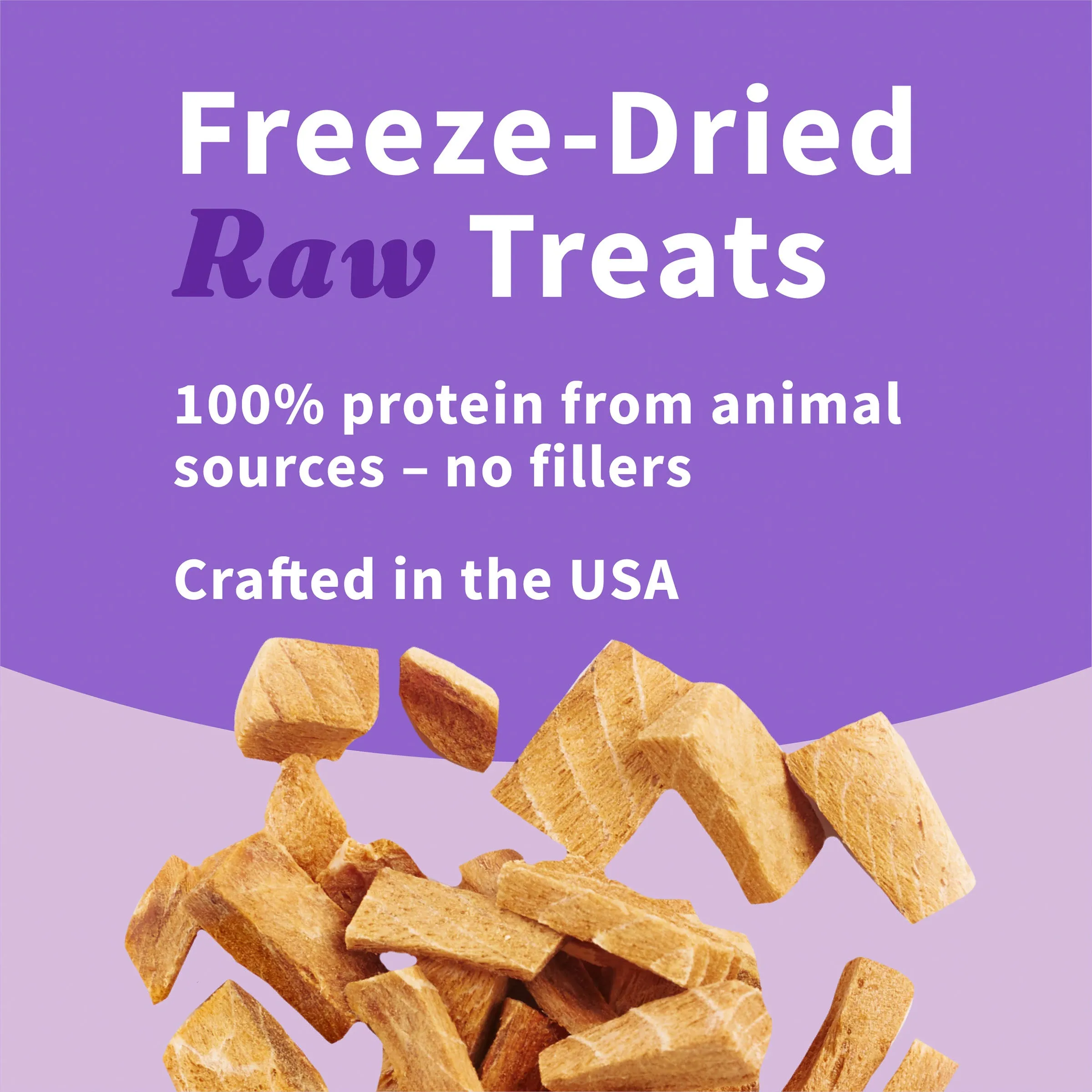 Freeze-Dried Raw Salmon Cat Treats 1.6 oz