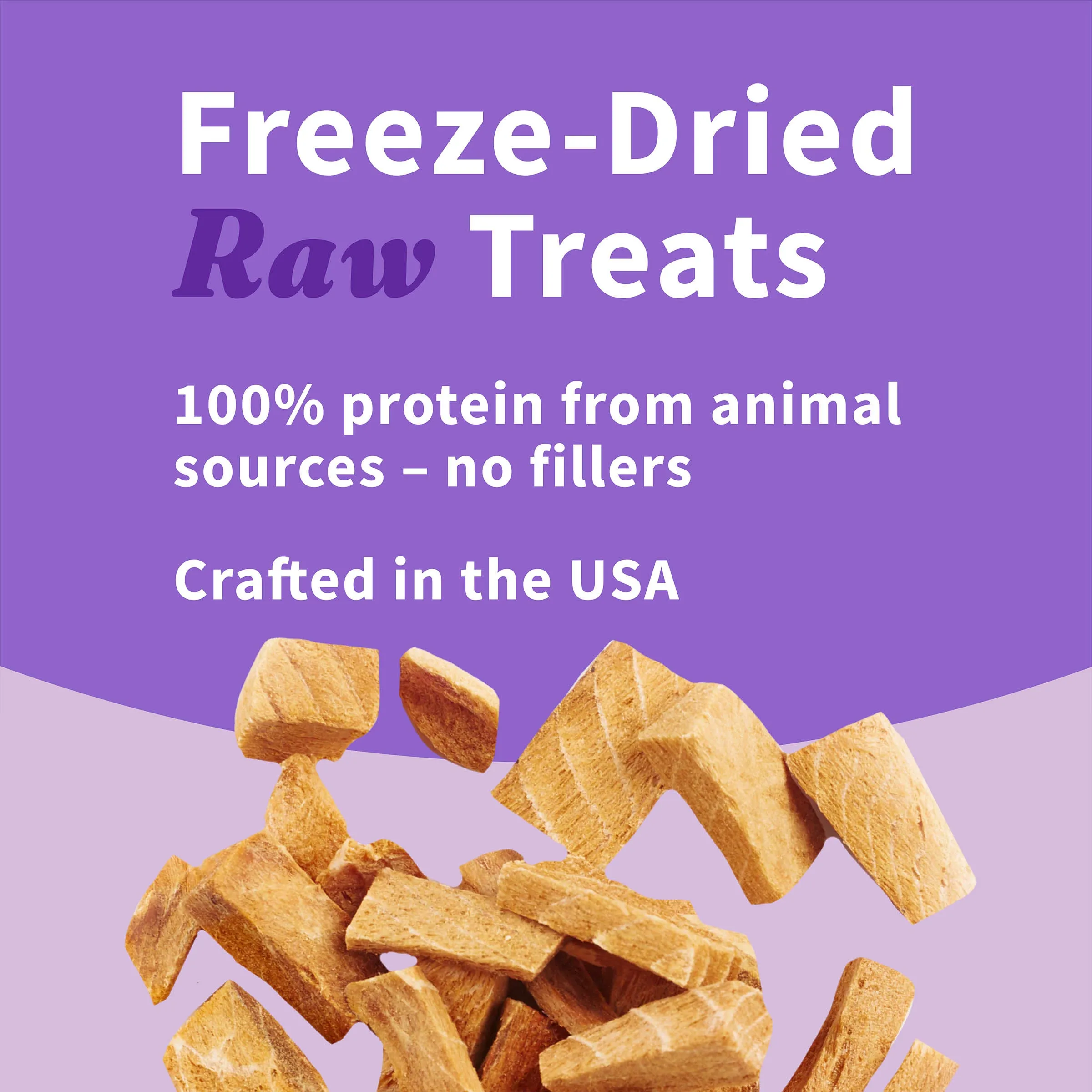 Freeze-Dried Raw Salmon Dog Treats 2.5 oz