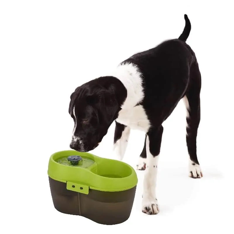 Goofy Tails  2L Dog Water Fountain - Automatic Pet Water Fountain Dogs and Puppies