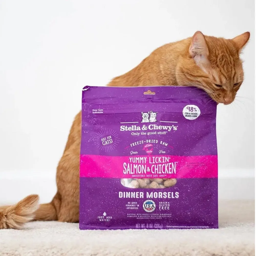 Grain Free Freeze Dried Salmon & Chicken Dinner Morsels Cat Food