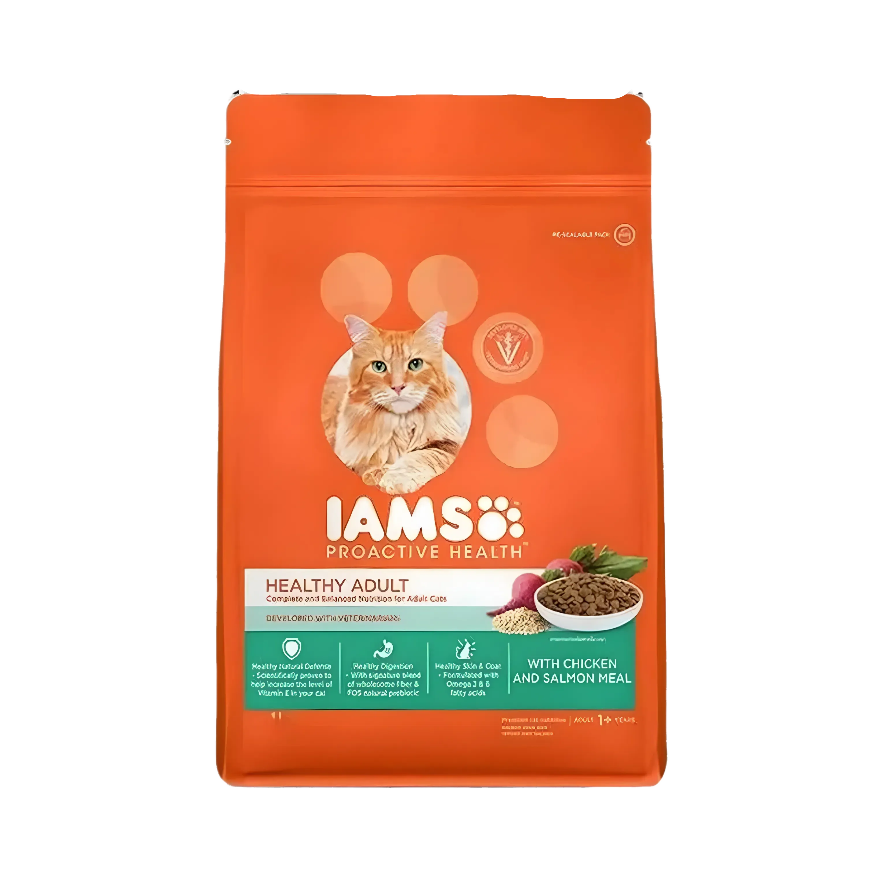 IAMS CAT CHIC & SALMON DRY FOOD (L)