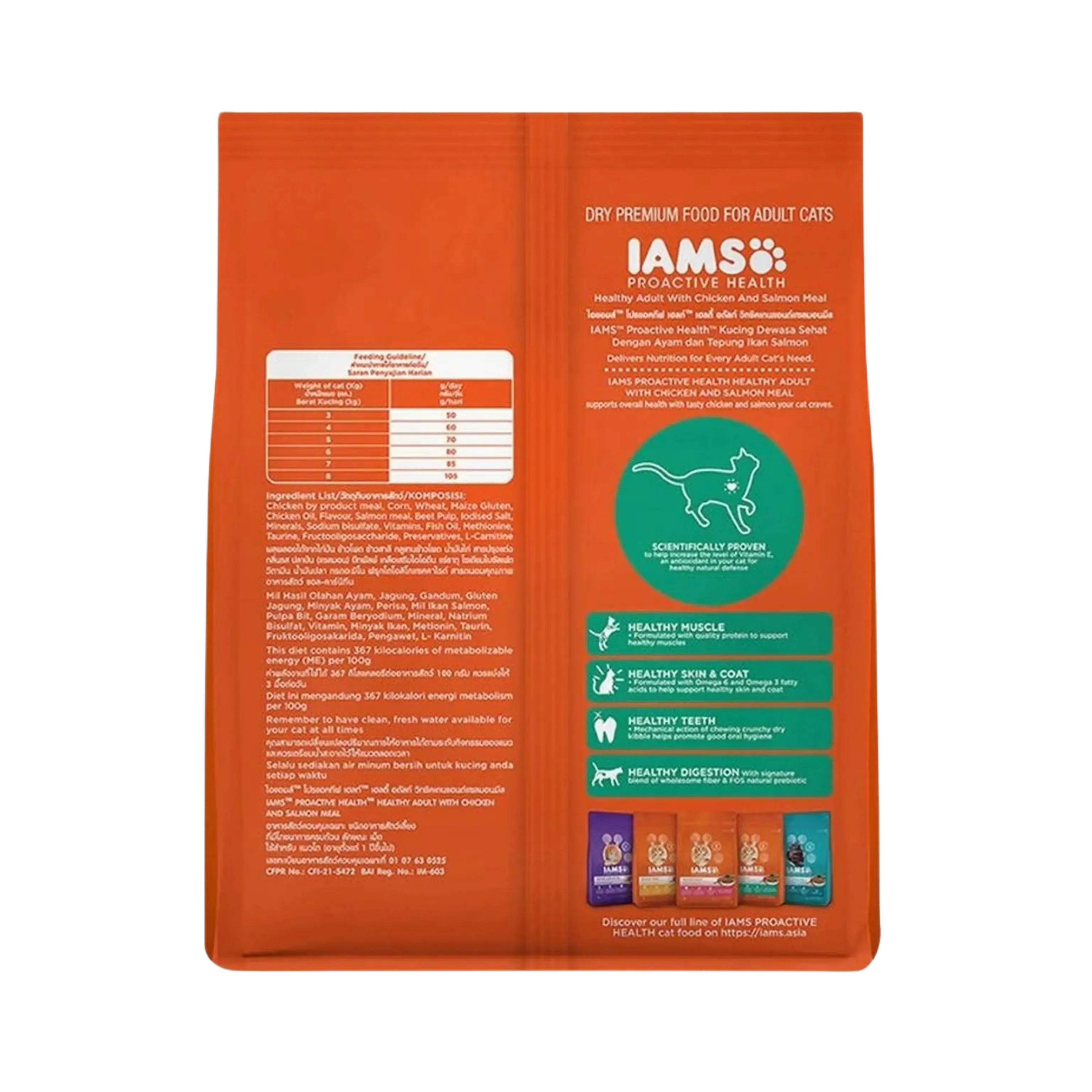 IAMS CAT CHIC & SALMON DRY FOOD (M)