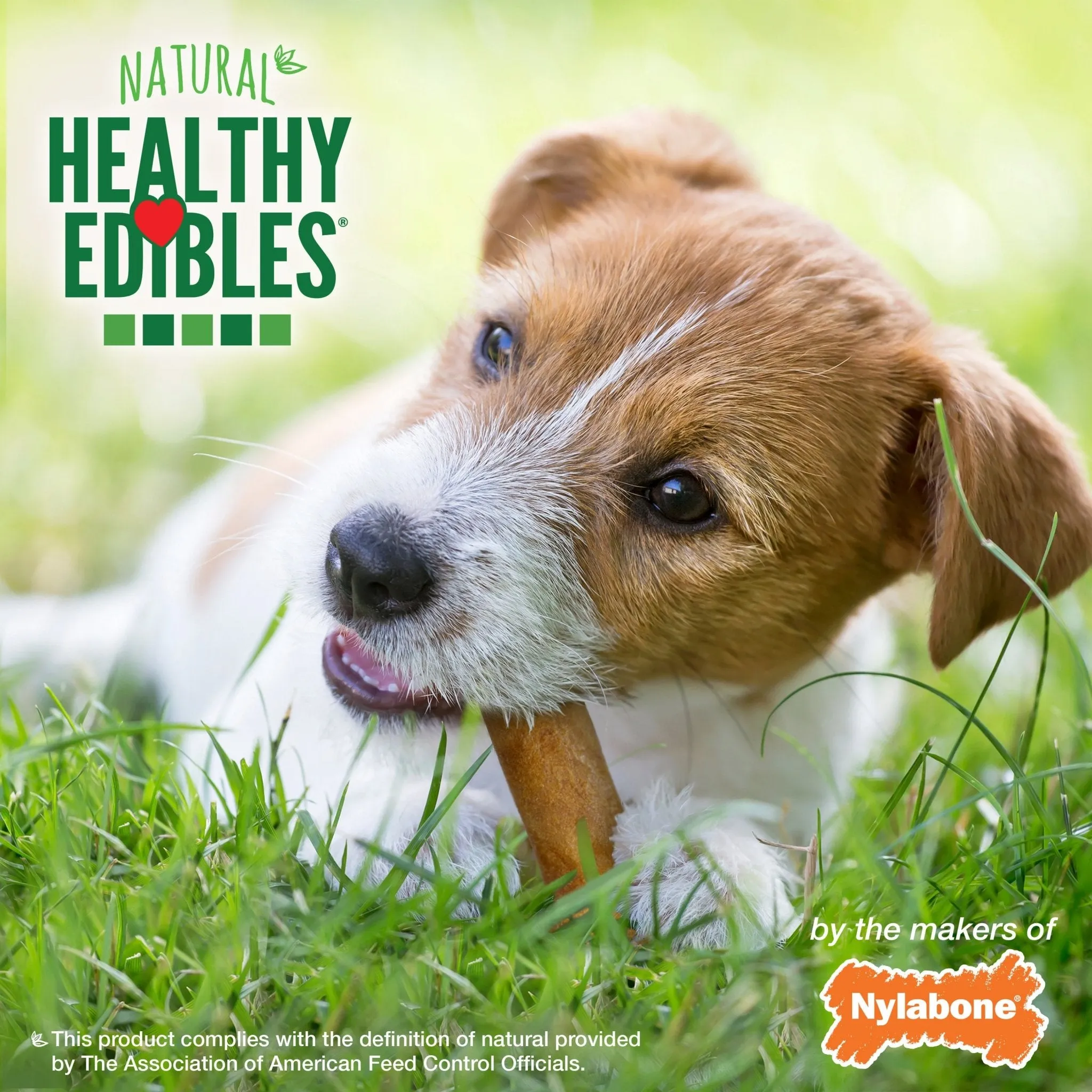 Nylabone Healthy Edibles, Regular (4.5"), 3 pack