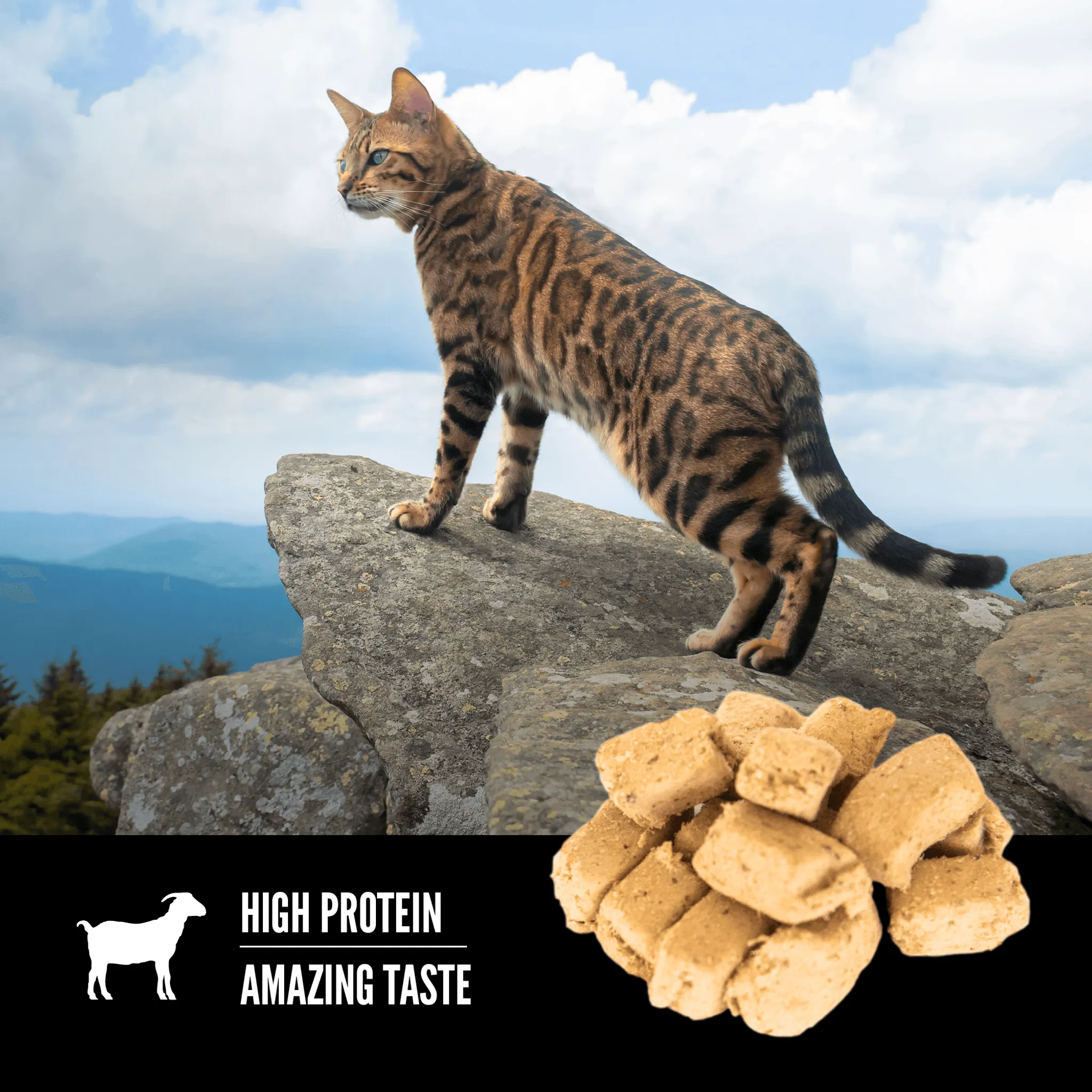 Orijen Freeze-Dried Cat Treats Tundra