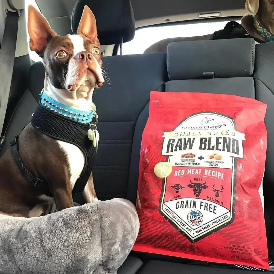 Stella & Chewy's Red Meat Recipe Raw Blend Small Breed Baked Kibble Dog Food