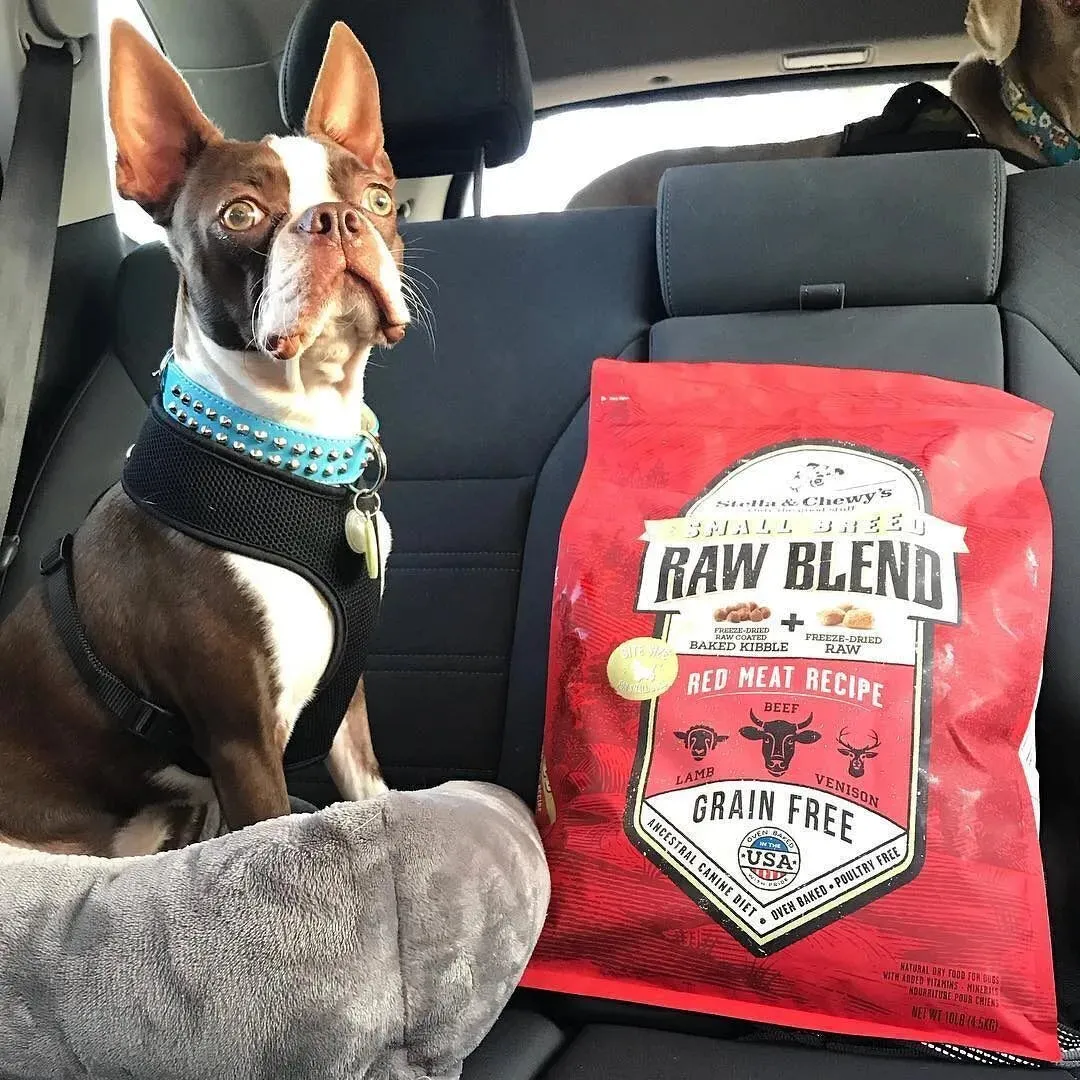 Stella and Chewy's Small Breed Red Meat Raw Blend