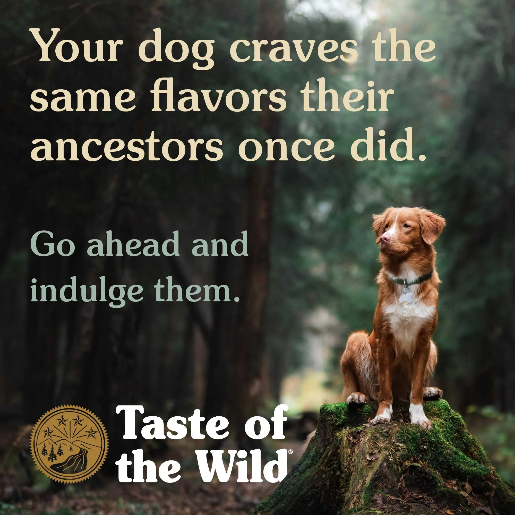 Taste Of The Wild High Prairie Grain-Free Dog Food