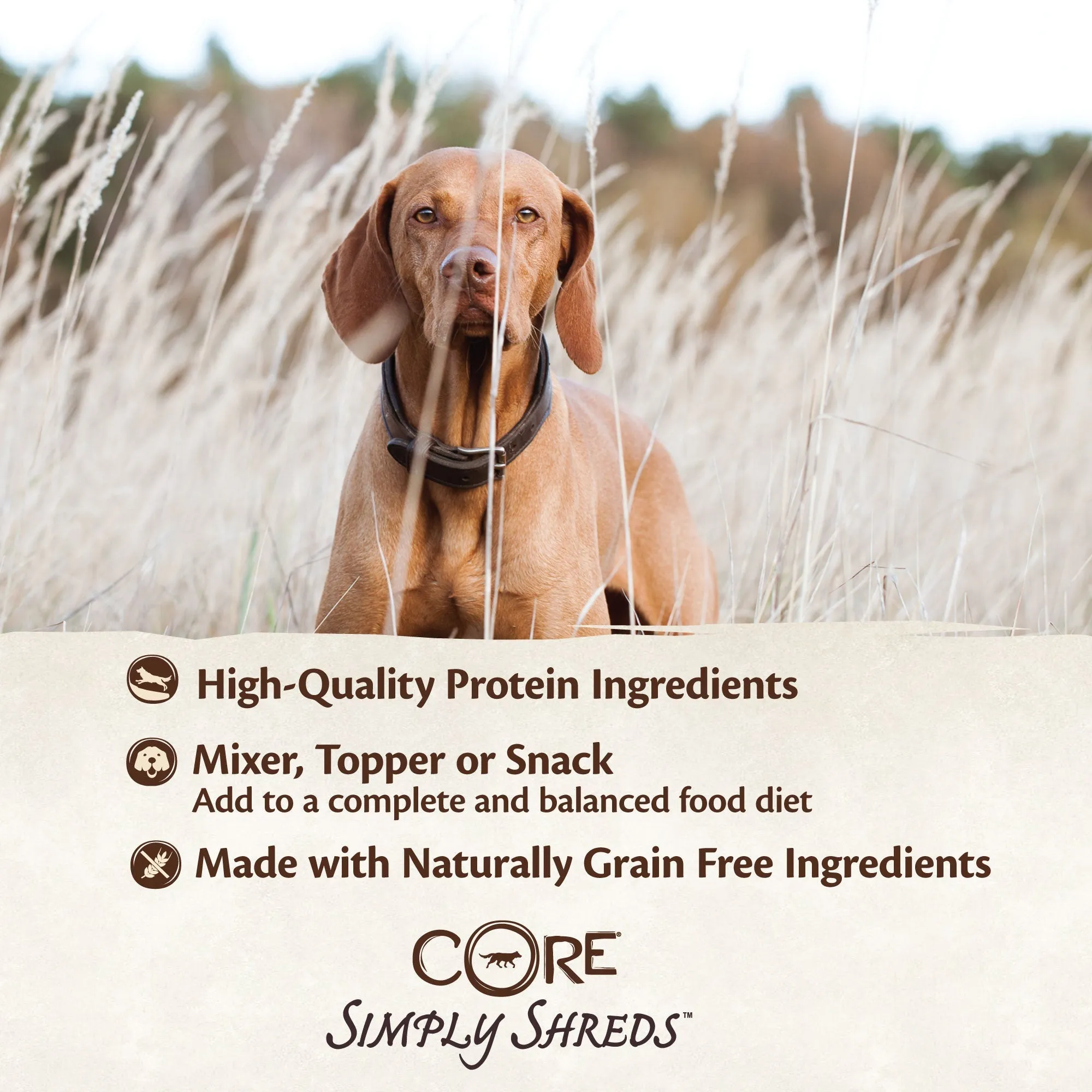 Wellness CORE Simply Shreds Shredded Chicken, Beef and Carrots Wet Dog Food 79g